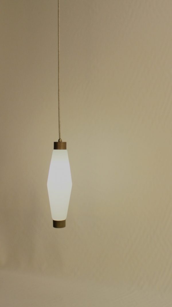 Carotte fine opaline - Image 2