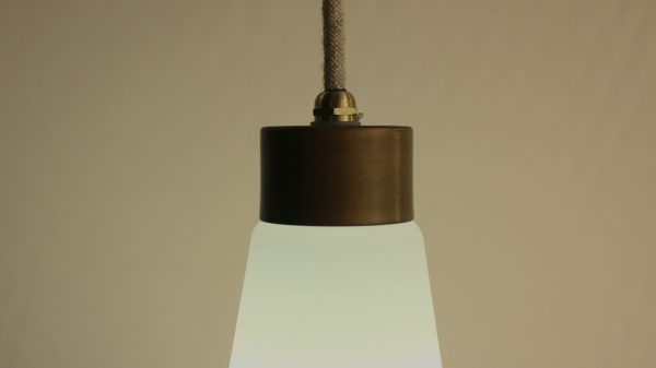 Carotte fine opaline - Image 4