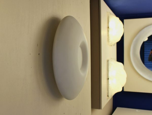 Opaline Blanche - Image 15