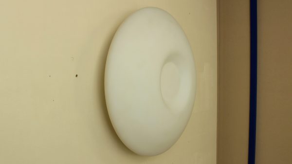 Opaline Blanche - Image 13