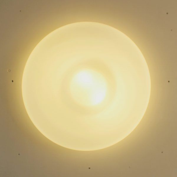 Opaline Blanche - Image 3