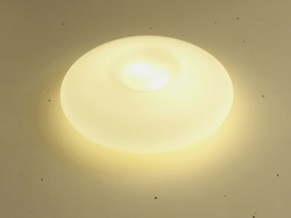 Opaline Blanche - Image 7